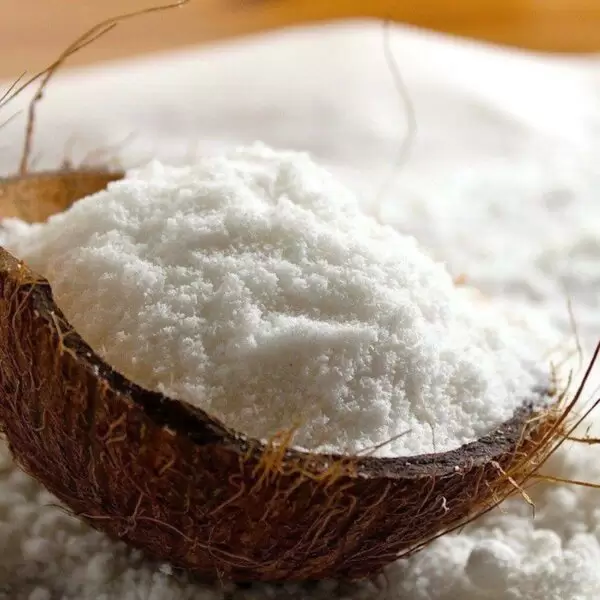 LEITE DE COCO EM PÓ  100g